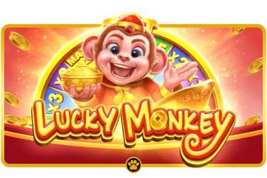 555cuci